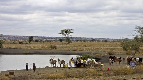 aigua per a la vida - water for life